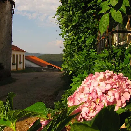 Quinta Do Cerquito * Ferreira do Zezere
