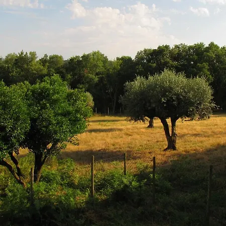 Farm stay Quinta Do Cerquito Ferreira do Zezere