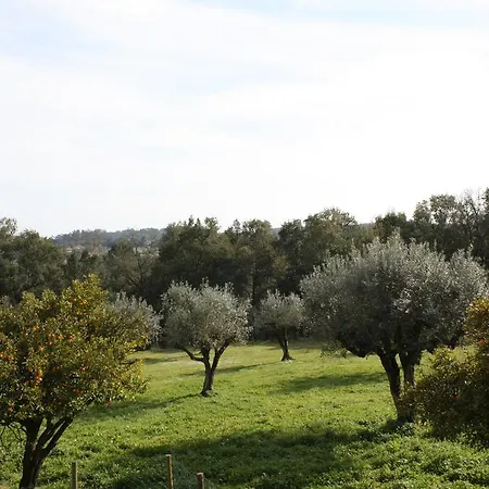Quinta Do Cerquito