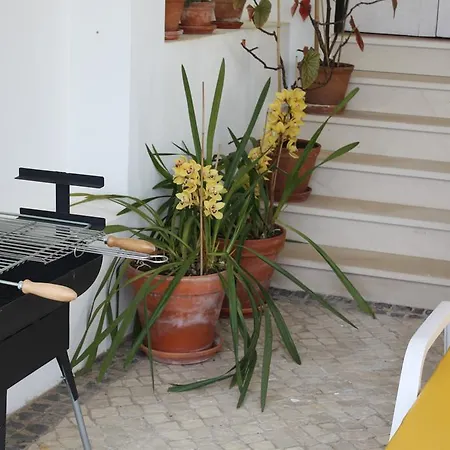 Farm stay Quinta Do Cerquito *
