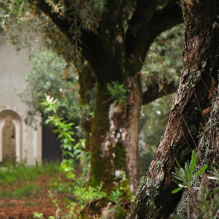 Quinta Do Cerquito