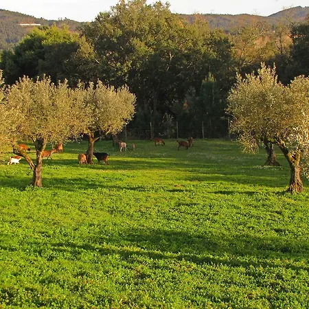 Quinta Do Cerquito