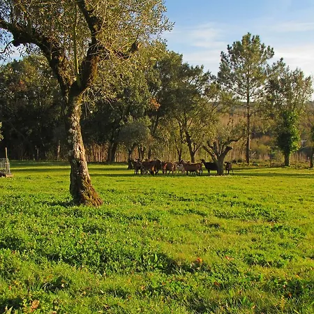 Quinta Do Cerquito Ferreira do Zêzere