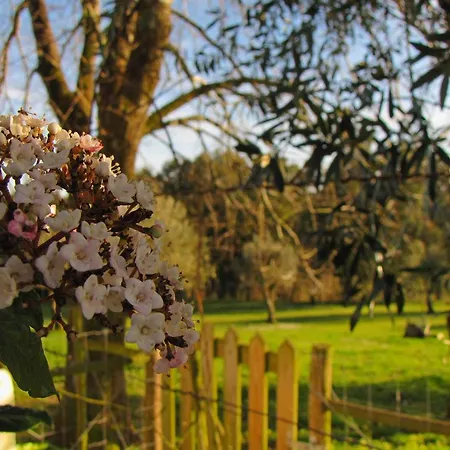 Farm stay Quinta Do Cerquito Ferreira do Zezere