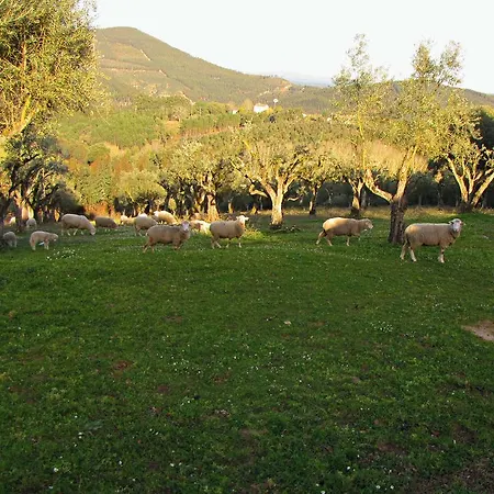 Quinta Do Cerquito Ferreira do Zêzere