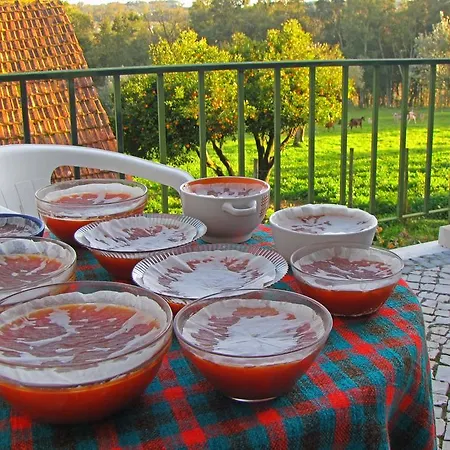 Farm stay Quinta Do Cerquito