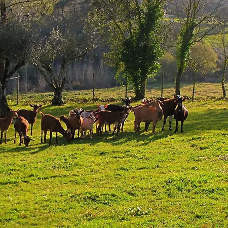 Farm stay Quinta Do Cerquito *