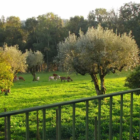 Quinta Do Cerquito