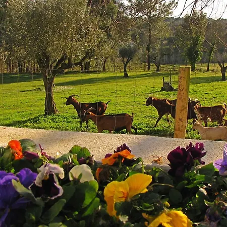 Quinta Do Cerquito