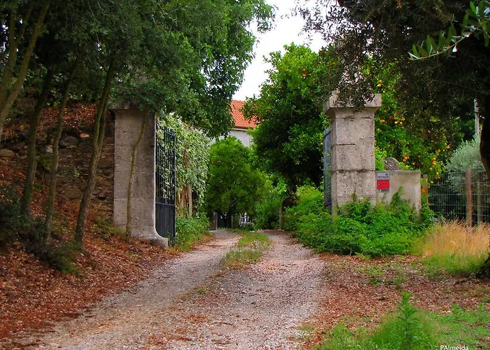 Quinta Do Cerquito ファームステイ *