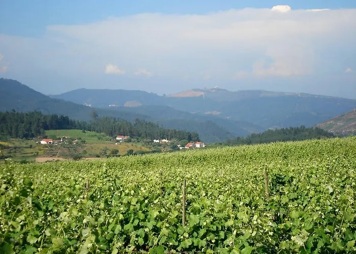 Gospodarstwo agroturystyczne Quinta Do Cerquito Ferreira do Zêzere