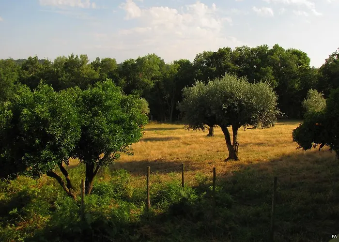 ファームステイ Quinta Do Cerquito Ferreira do Zêzere