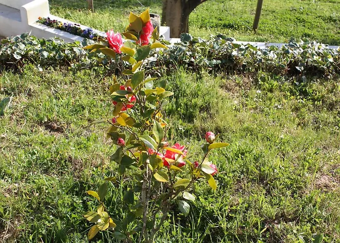 Agroturismo Quinta Do Cerquito