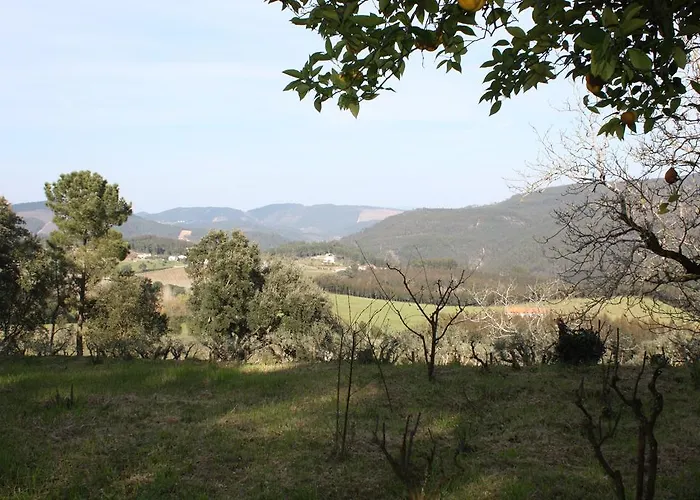 Quinta Do Cerquito Ferreira do Zêzere