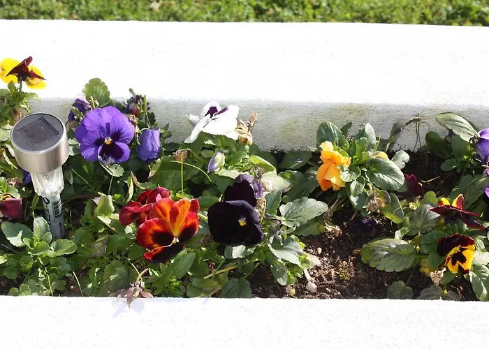 Quinta Do Cerquito Ferreira do Zêzere