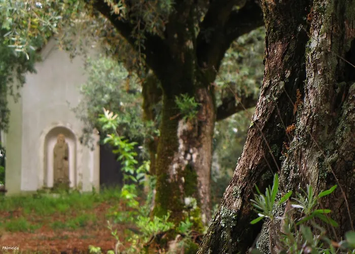 Quinta Do Cerquito