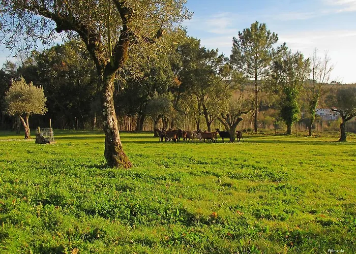Quinta Do Cerquito Ferreira do Zêzere