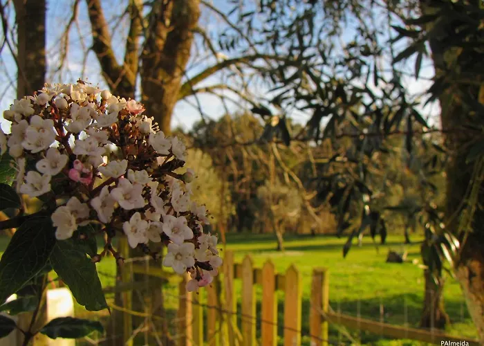 Agroturismo Quinta Do Cerquito Ferreira do Zêzere