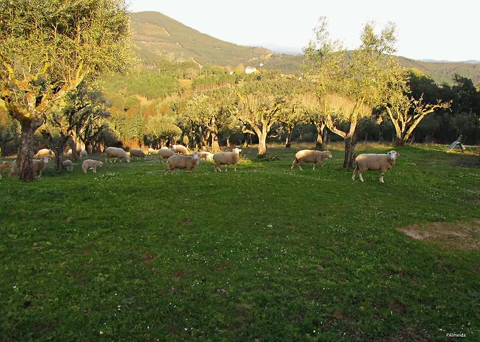 Quinta Do Cerquito Ferreira do Zêzere