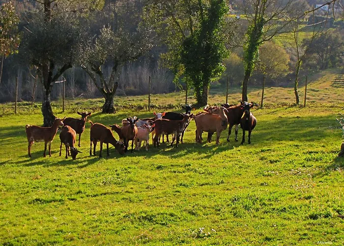 Agroturismo Quinta Do Cerquito *